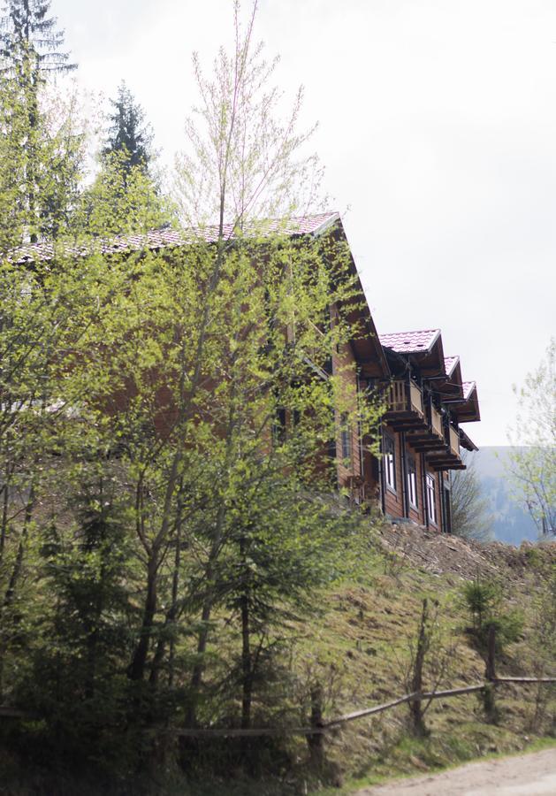 Karpatska Oselia Villa Verkhovyna Eksteriør billede